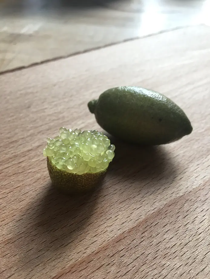 Finger lime