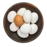 Æg