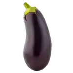 Aubergine