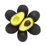 AvocadoPosen