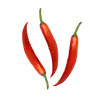 Chili, rød