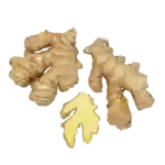 Ingefära