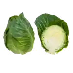 Sommerhvidkål