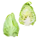 Spetskål