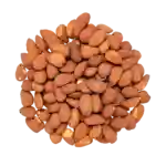 Tamari-mandler