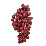 Röda vindruvor, kärnfria