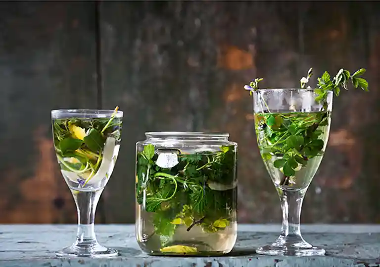 Brændenælde og hvidtjørn-te