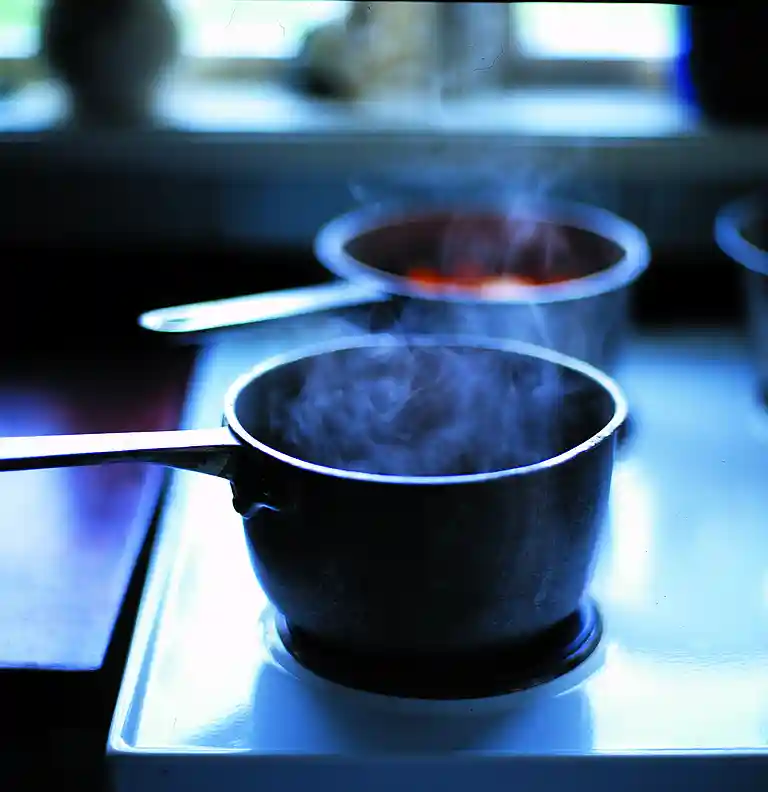 Cremet jordskokkesuppe med røget paprikaolie og æbletern