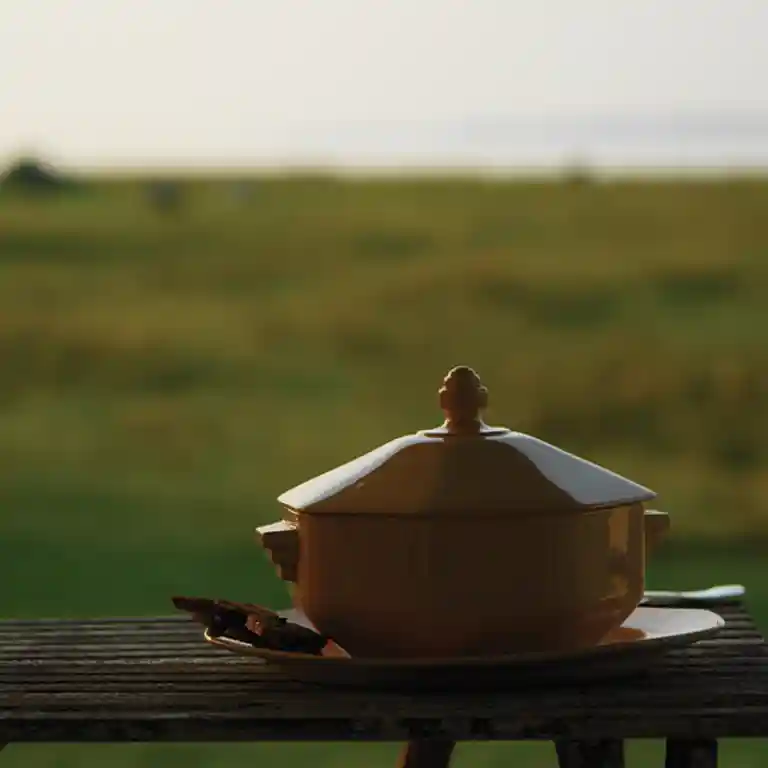 Kogte skozonerrødder