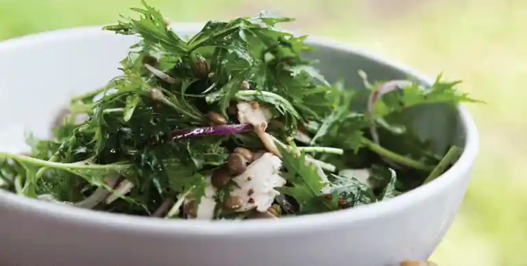 Kyllingesalat med grønne linser