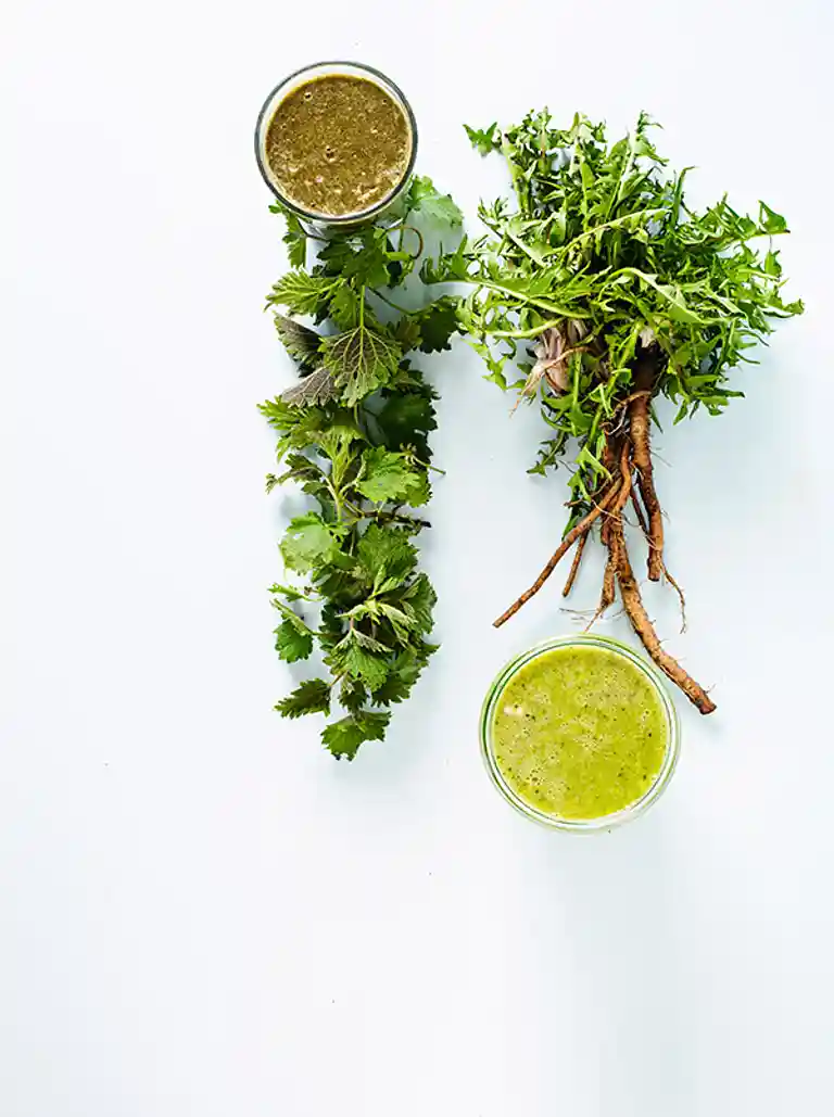 Mælkebøtte og bladsellerisaft