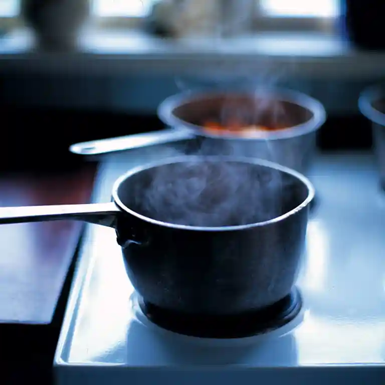 Porresuppe med dampet rødspættefilet