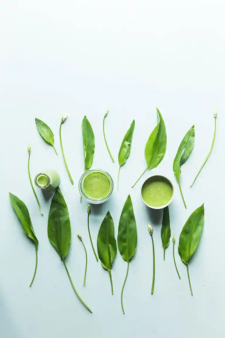 Ramsløg, kardemomme og hyldeblomst