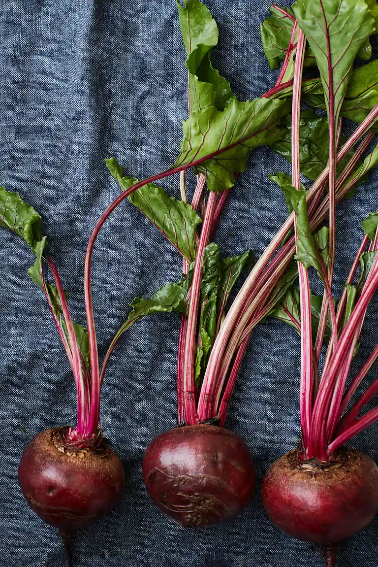 Rødbedetatar med peberrodscreme