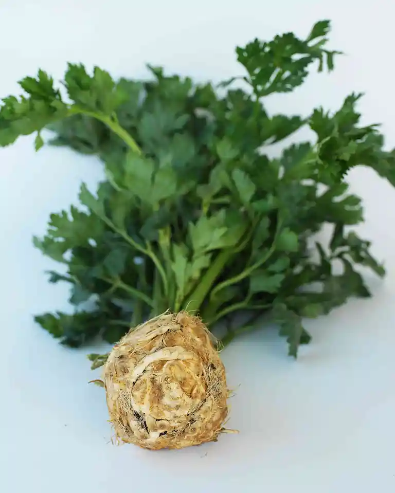 Sellerigratin med æble