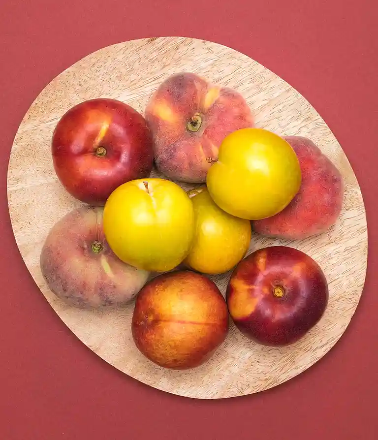 Stenfrugter med mynte og karamelliseret havre