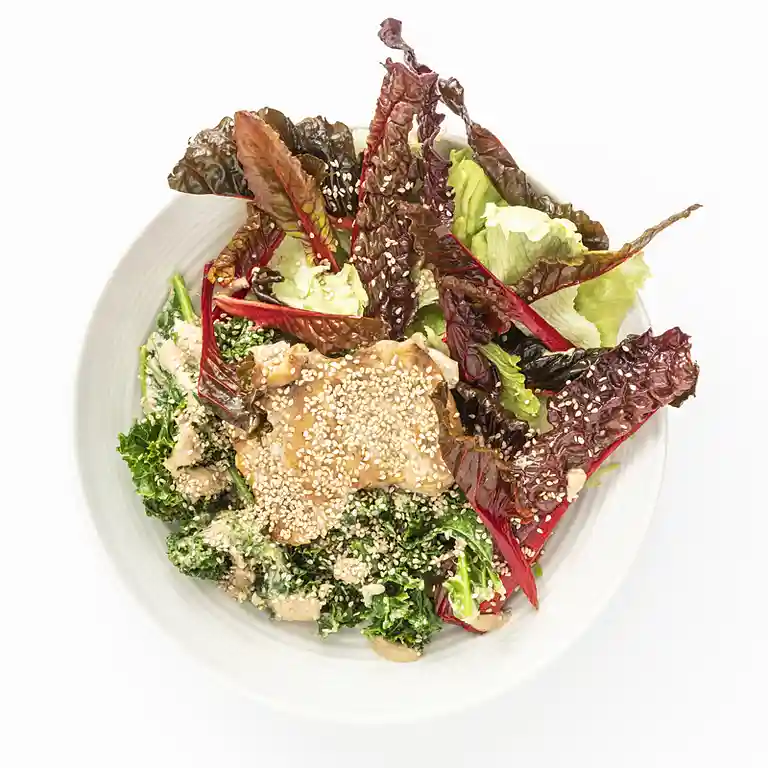 Kyllingeoverlår med dampet grønkål, sprød salat og tahindressing