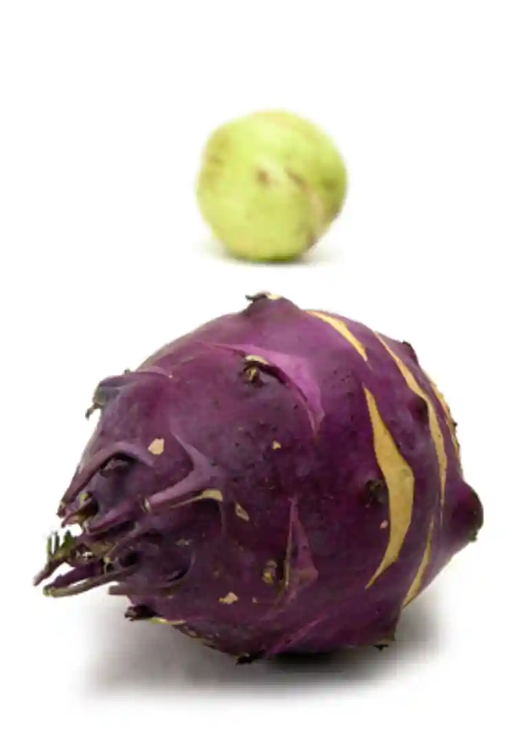 Carpaccio av kålrabbi, tomat och salladslök