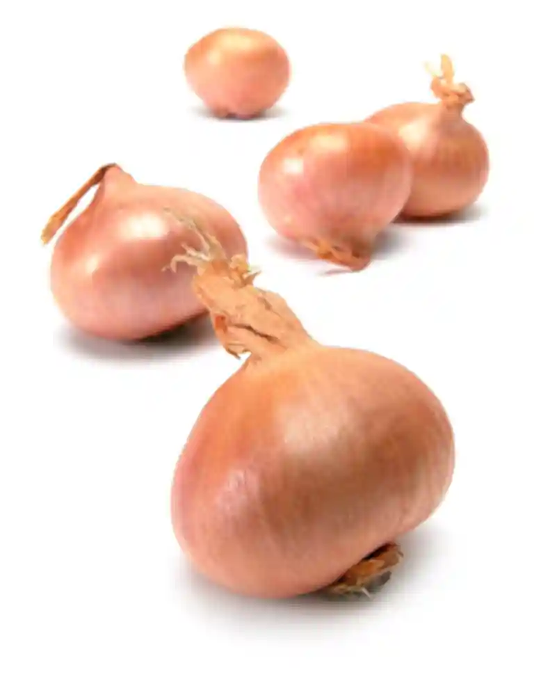 Löksallad