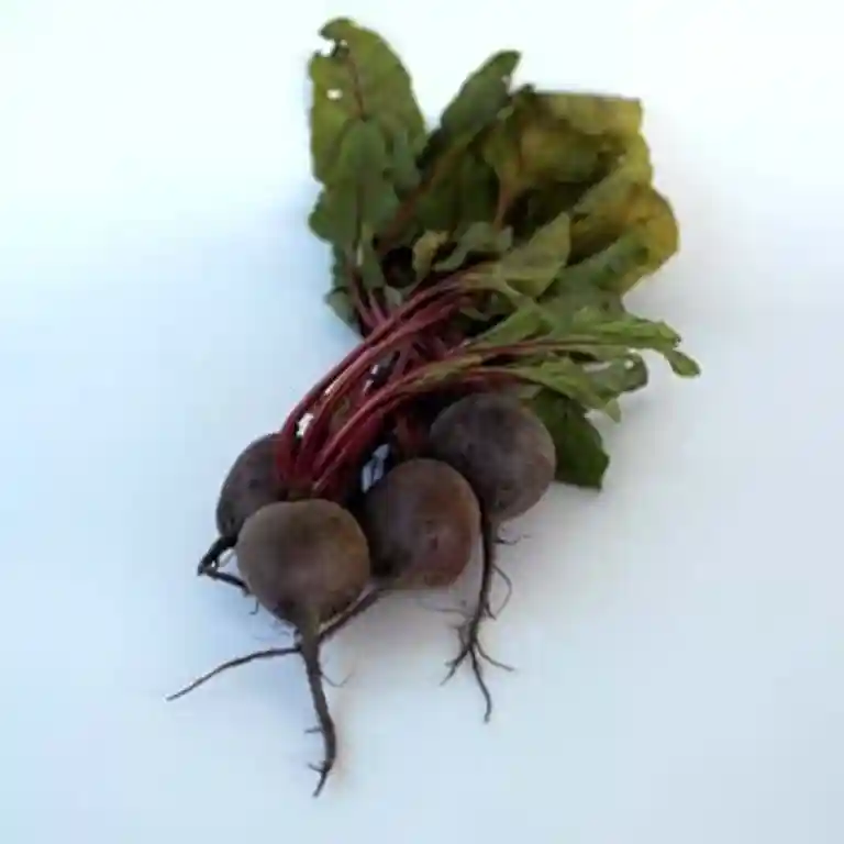 Rödbetskaka med cream cheeseglasyr