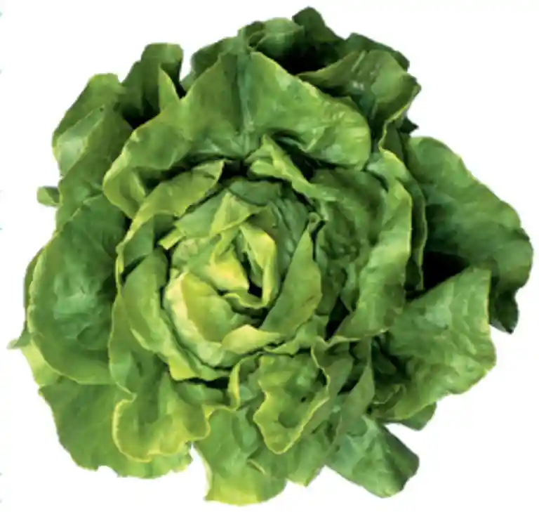 Sallad med paprikasalsa i 2 versioner